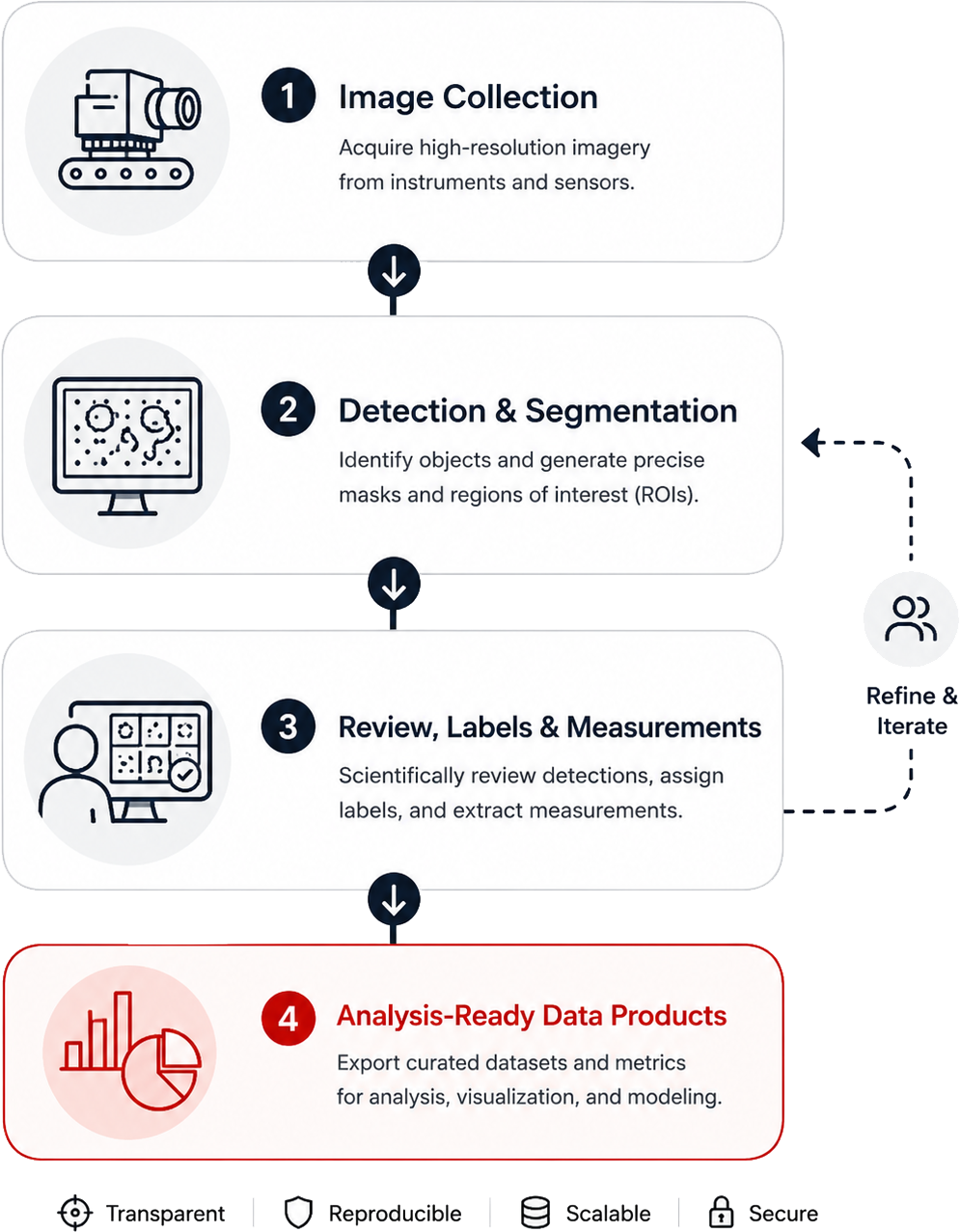 Pelagia workflow from imagery acquisition through object detection and segmentation, scientific review and classification, and analysis-ready export.